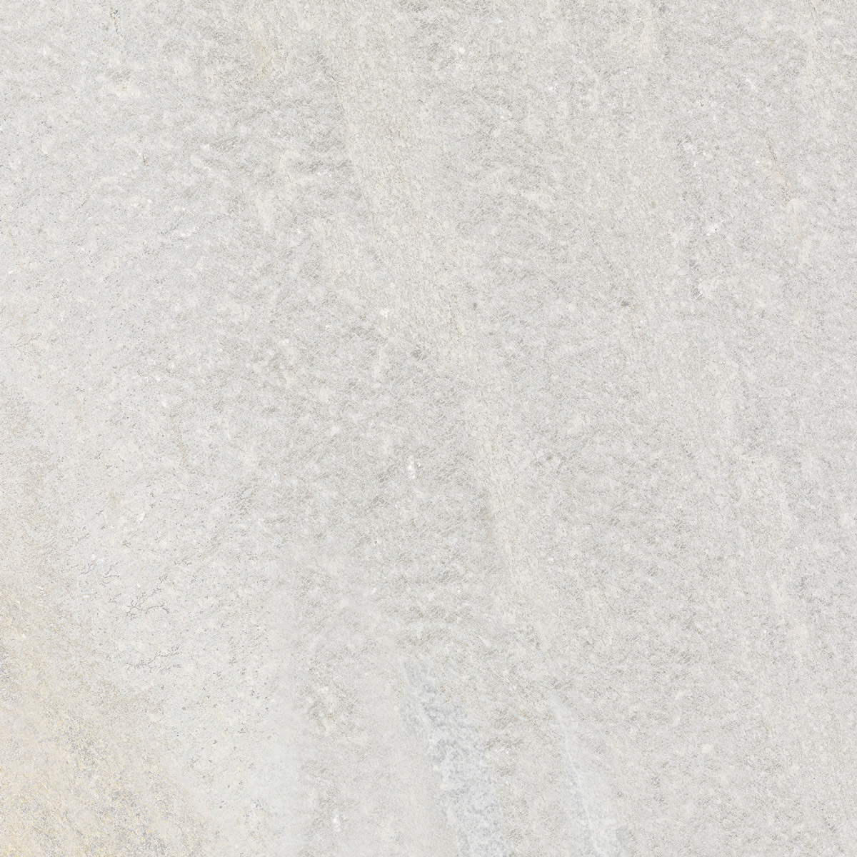 6060185-L-Elmina.jpg